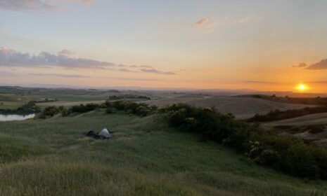 IMG_0235-scaled-1-465x280