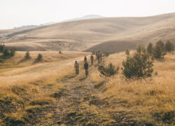 Serbia-Upside-Down-Day-II-156-250x180