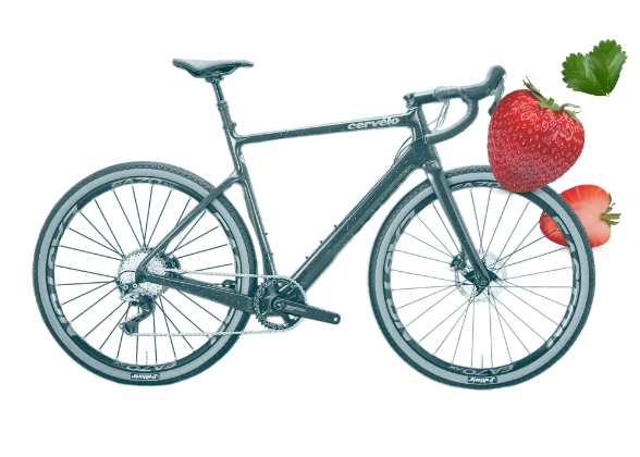 about-us-third-fold-bicycle