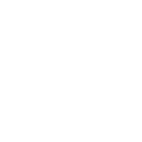 dacia@2x