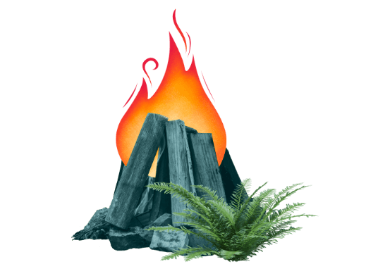 camp fire