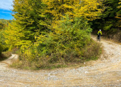 after-IMG_2606-250x180