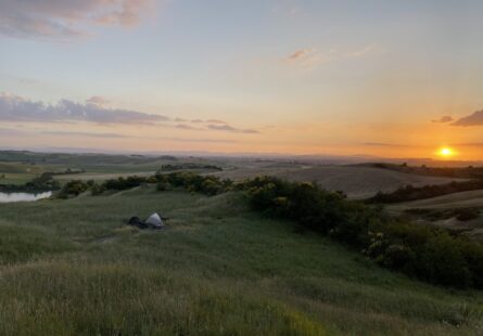 IMG_0235-scaled-1-231x162